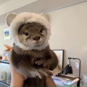 Meet your Posher, Jo